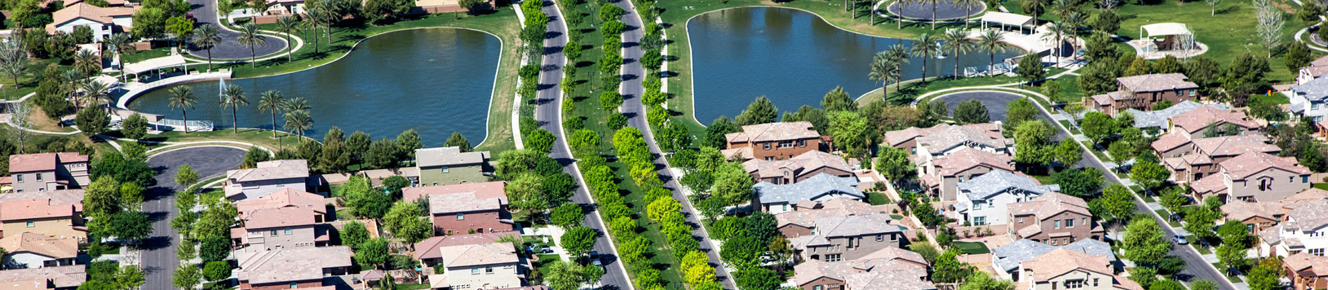 Tree-Lined Streets in Suburb With Small Lakes